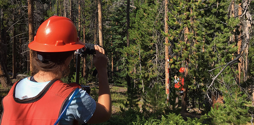 Fraser Experimental Forest, Colorado