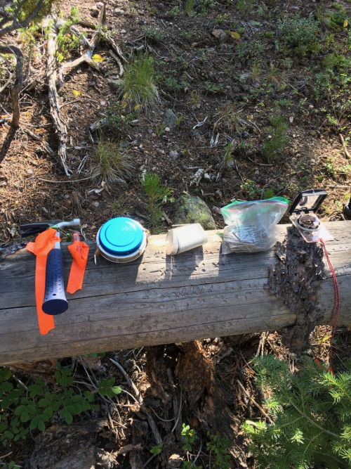 Tools of the Trade - photo by Brian Harvey